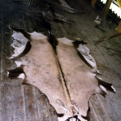 image-50