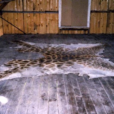 image-51