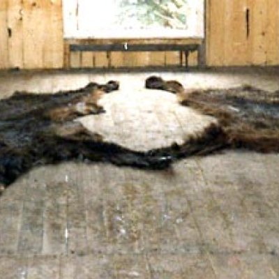 image-22