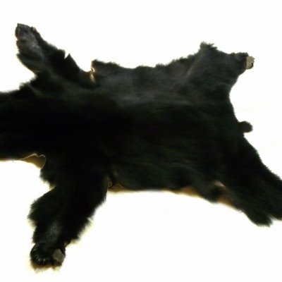 image-28