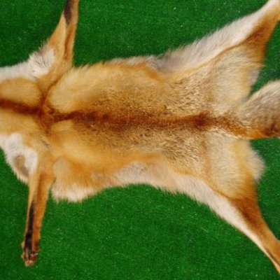 image-61
